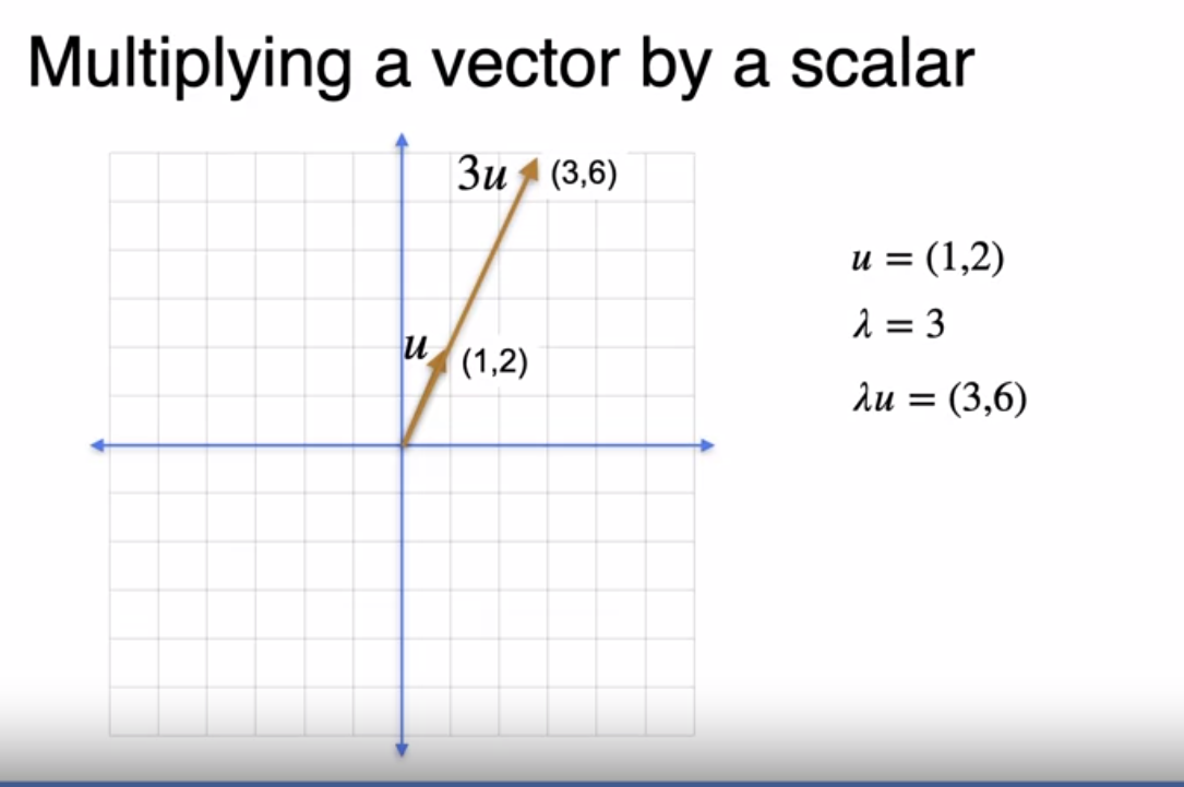 Multiplying a vector by a scalar